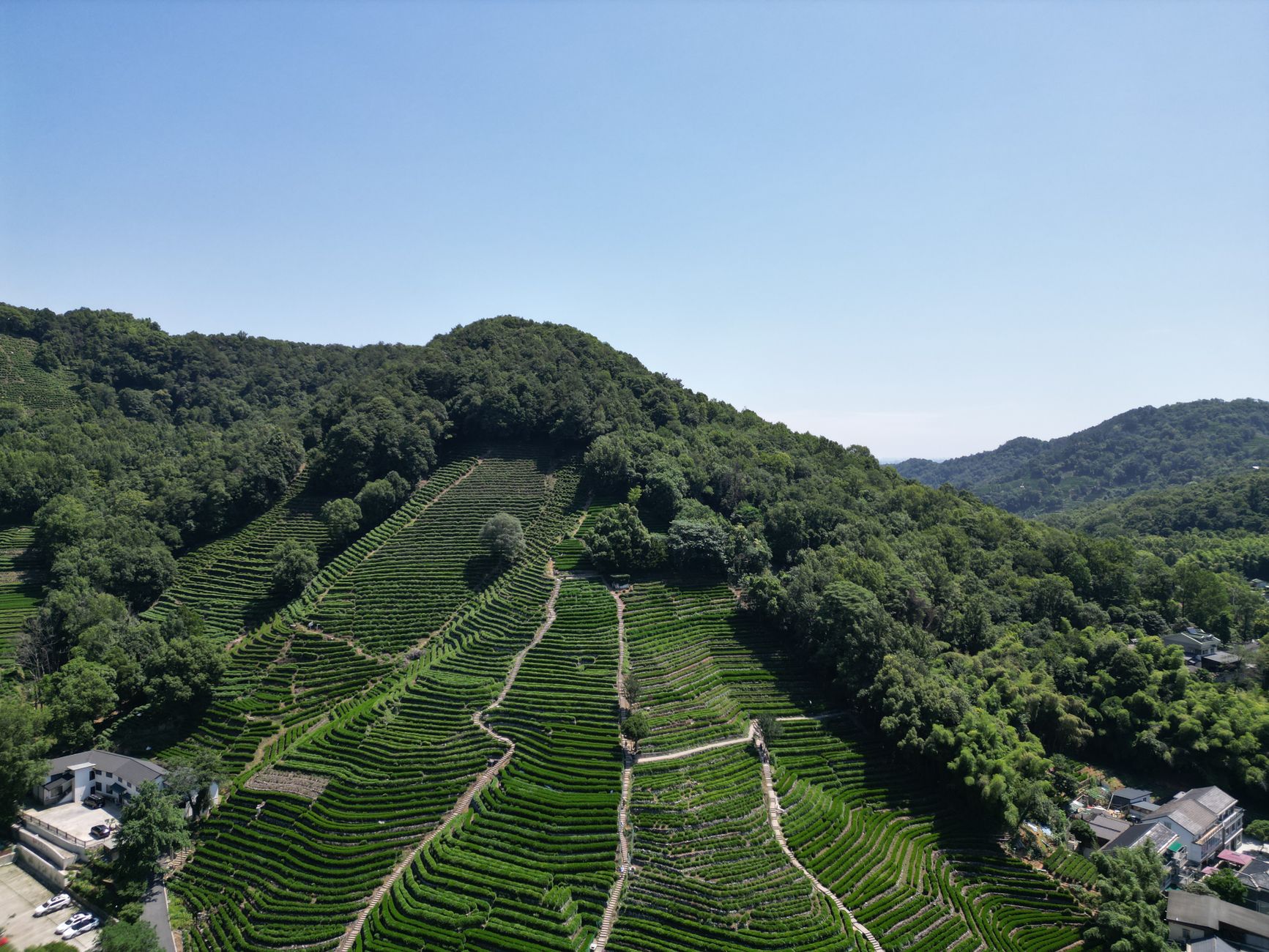 云南雨林茶山与南境私享 7 日 extensionImage 这是中国杭州龙井茶园令人惊叹的空中景观,展示了阳光明媚的梯田耕作。