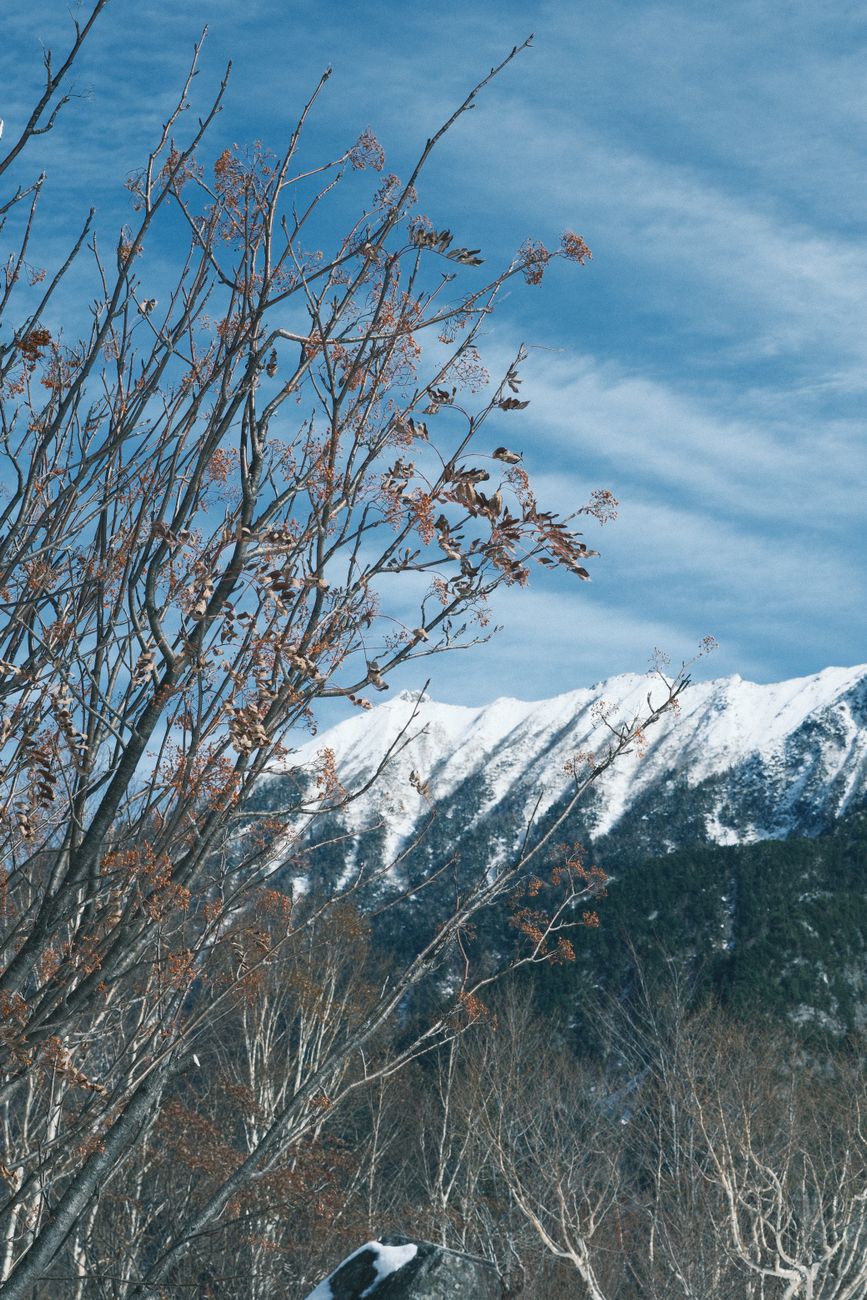 云南秘境 · 苍山洱海与玉龙之巅 sidePortraitImage 日本富山,晴空万里,白雪皑皑的山峰上光秃秃的树木。美丽的冬季景色。